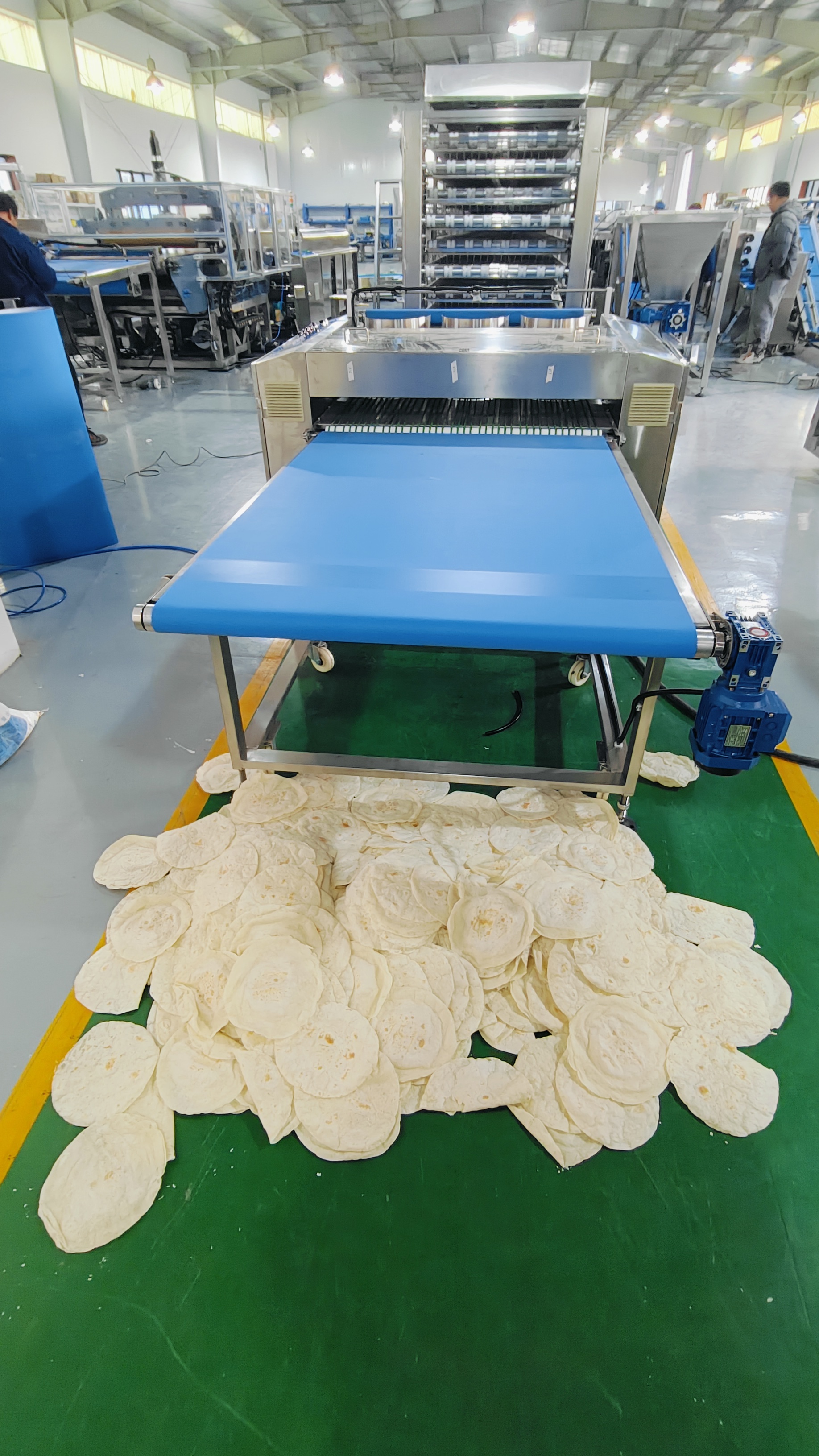 Innovación y Versatilidad para el Mercado Global