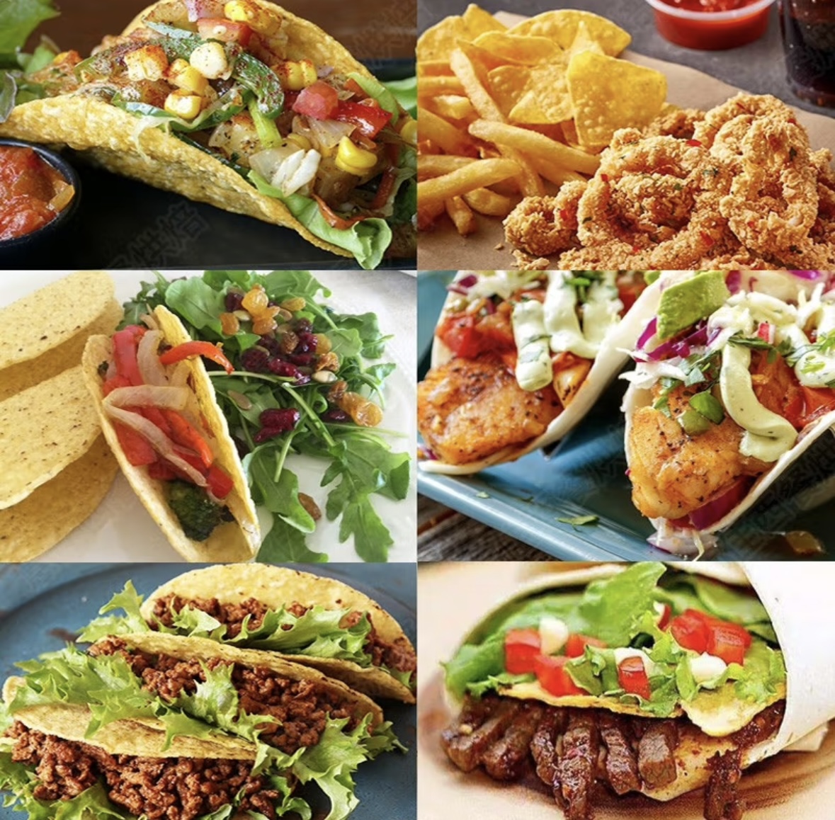 إعادة تشكيل صناعة التورتيلا بخطوط إنتاج ذكية: القفزة من التقنية التقليدية إلى التصنيع الرقمي