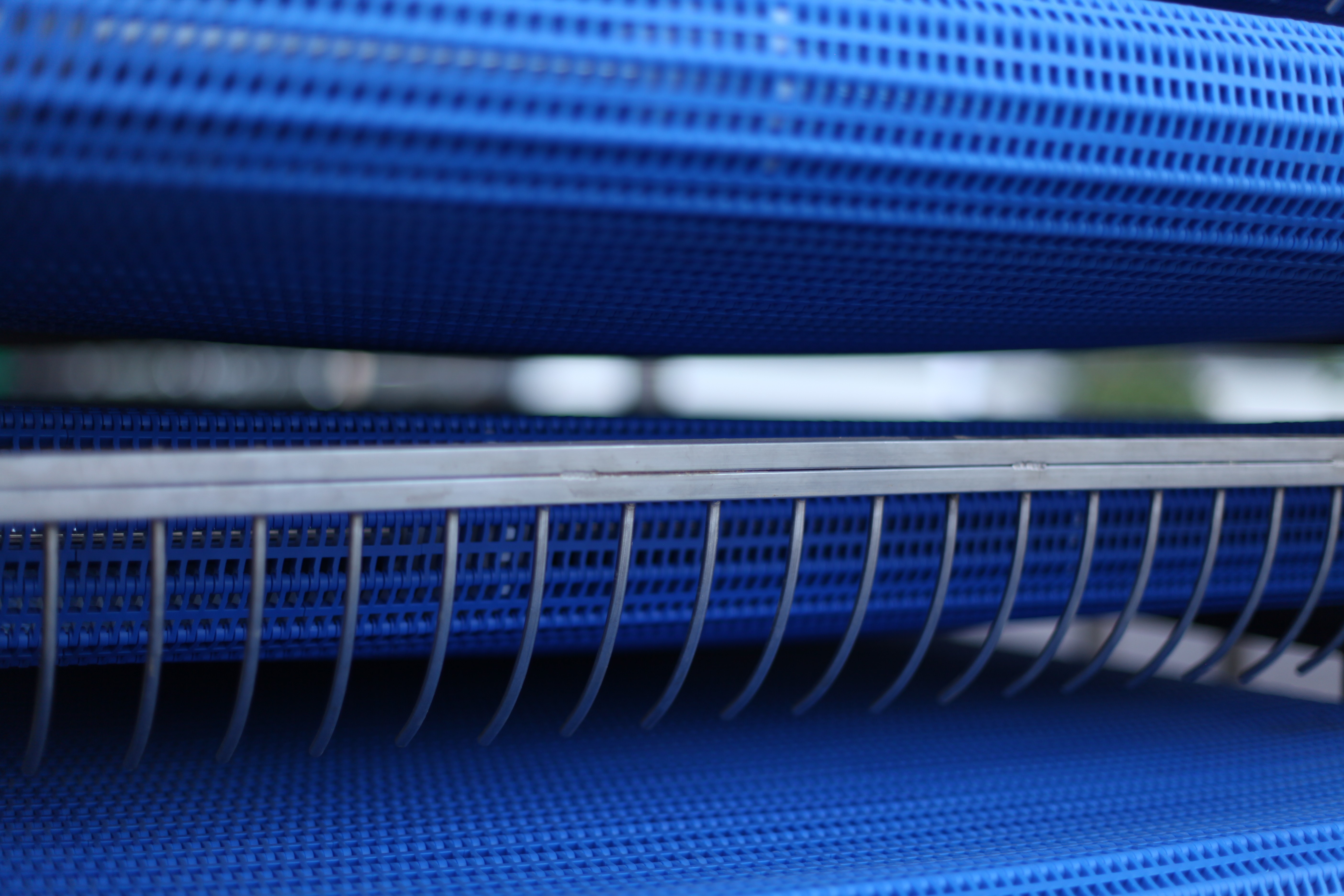 China Fully automated tortilla production