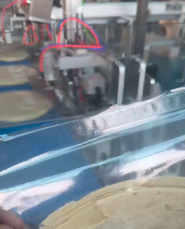 Pre-made Pouch Tortilla Packing Machine (Zipper Type)